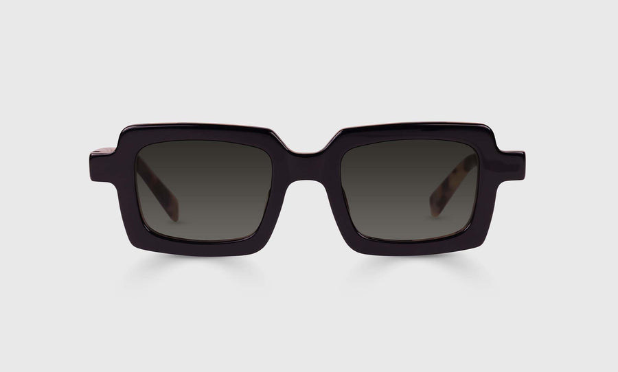 Square Root Color 00 - Black Front and Vanilla Tortoise Temples