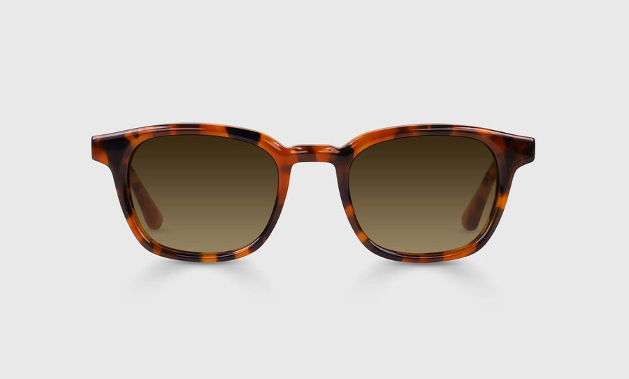 Shareholder Color 19 - Tortoise Front and Temples