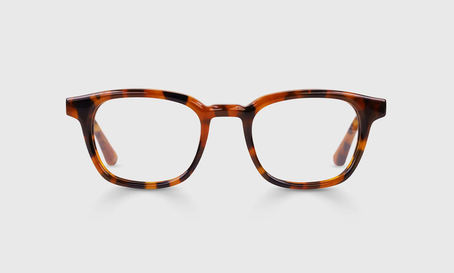 Shareholder Color 19 - Tortoise Front and Temples