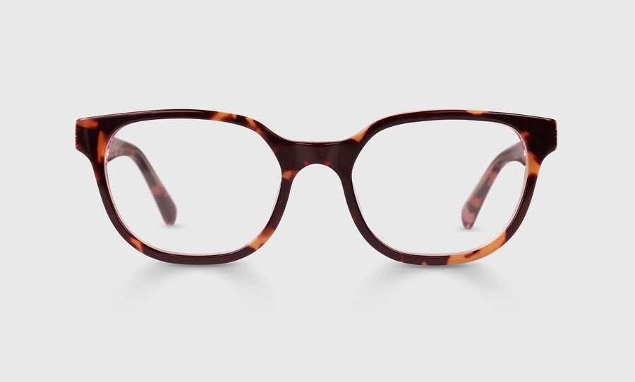 Miss Perception Color 19 - Tortoise Front and Temples