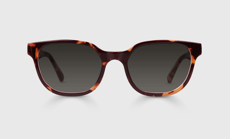 Miss Perception Color 19 - Tortoise Front and Temples