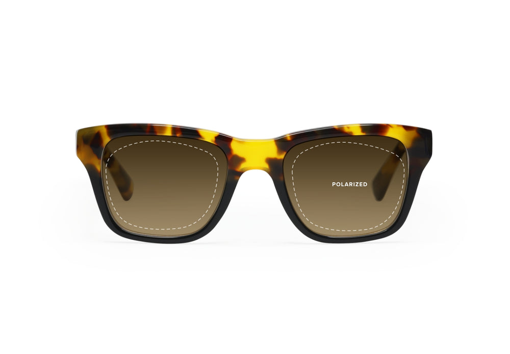 Polarized Sunglass Lens Type