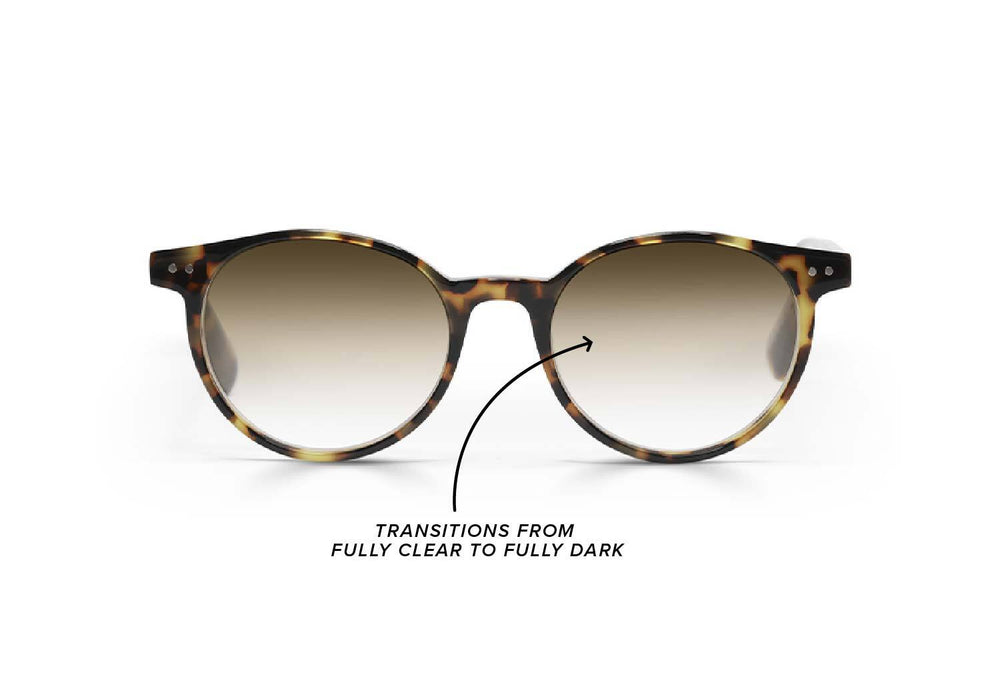 Case Closed 19 with Transition Lenses